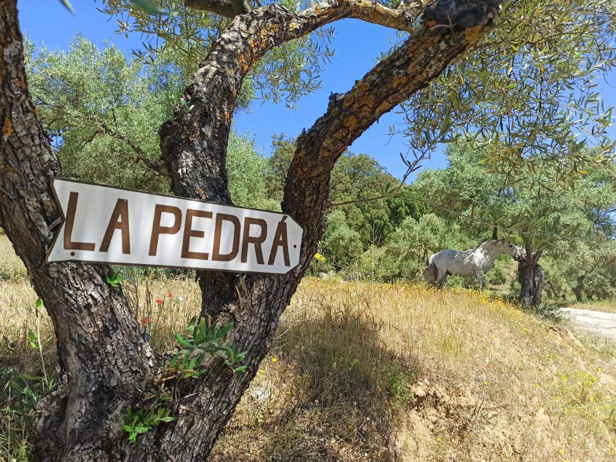 La Pedra Casa de férias Ronda