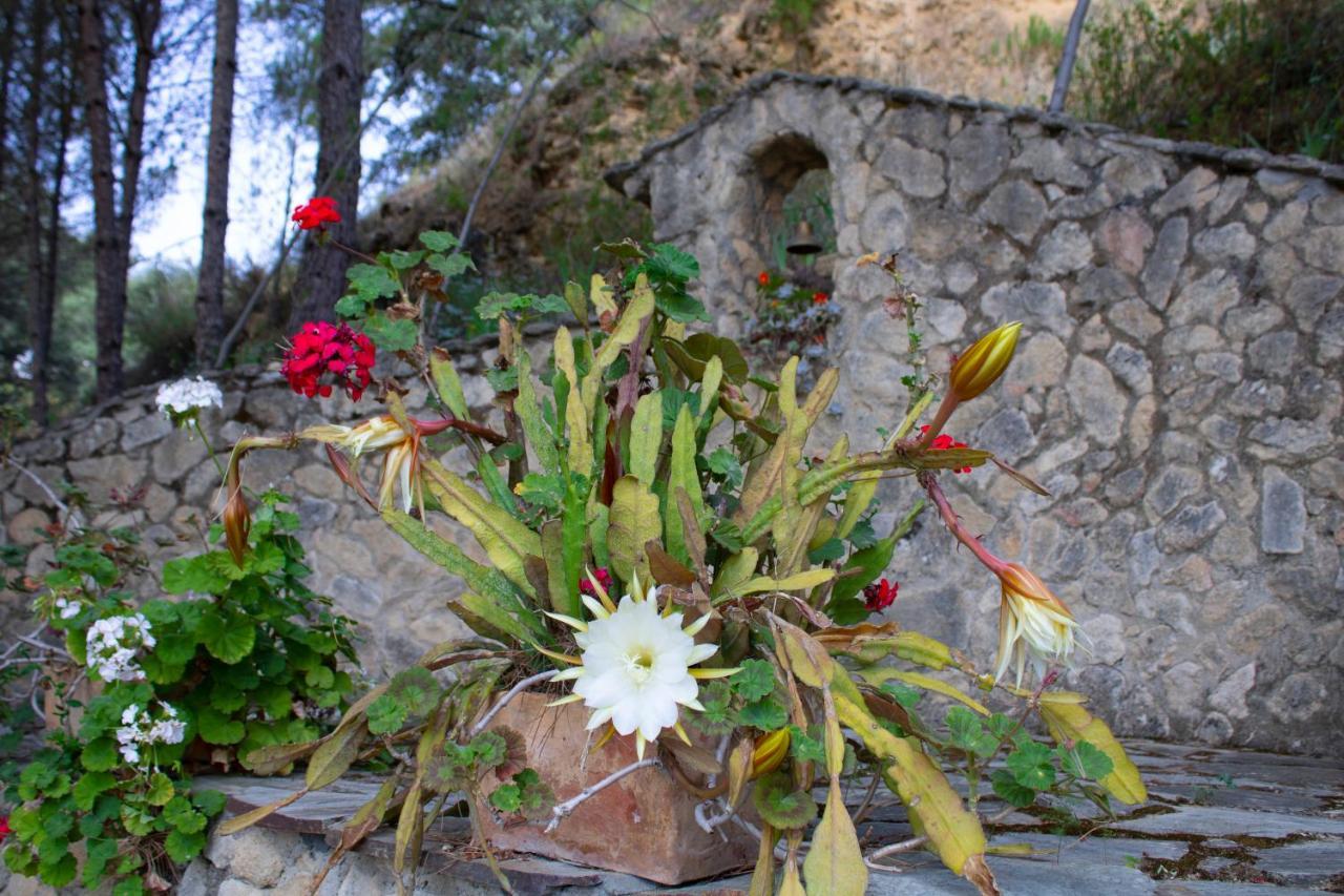 La Pedra Vakantiehuis